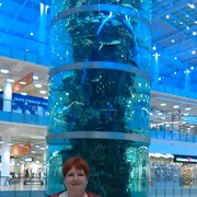 ���������� ����������, ���� ������� ������, 54 ����, ������������ ��� ������, ����� � ���������, c�������� ���������