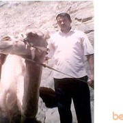  ,   , 46 ,     , c , 