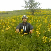 ���������� ��������, ���� ������� Odiljon, 36 ���, ������������ ��� ������, ����� � ���������, c�������� ���������