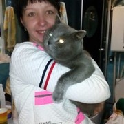 ���������� �������, ���� ������� �����, 40 ���, ������������ ��� ������, ����� � ���������, c�������� ���������