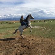 ���������� ������, ���� ������� ������, 39 ���, ������������ ��� ������, ����� � ���������