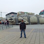 ���������� ������, ���� ������� ˸��, 41 ���, ������������ ��� ������, ����� � ���������