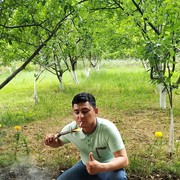  ,   BOBUR, 33 ,   ,   , c , 