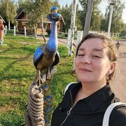  -,   , 33 ,  