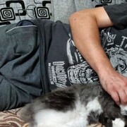 ���������� ������, ���� ������� �����, 36 ���, ������������ ��� ������, ����� � ���������