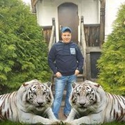  ,   , 49 ,     , c 