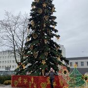 Sosnowiec,   , 40 ,     , c 