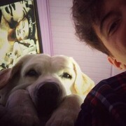 ���������� ������, ���� ������� ���������, 28 ���, ������������ ��� ����� � ���������, c�������� ���������, ���������