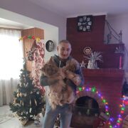  ,   , 38 ,   ,   
