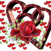  ,   , 51 ,   ,   , c 