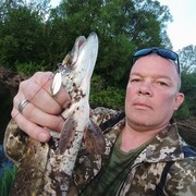  ,   , 46 ,   ,   , c 