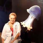  ,   , 66 ,   c 