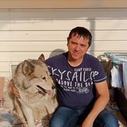 ���������� �����, ���� ������� ���������, 44 ����, ������������ ��� ������, ����� � ���������