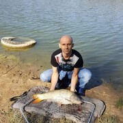  Veliko Turnovo,   , 41 ,   c 