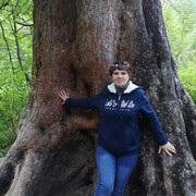 ���������� �����, ���� ������� �����, 63 ����, ������������ ��� ����� � ���������, c�������� ���������