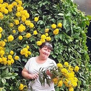 ���������� ������, ���� ������� ������, 55 ���, ������������ ��� ������, ����� � ���������, c�������� ���������