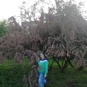 ���������� ����, ���� ������� �������, 32 ����, ������������ ��� ������, ����� � ���������, c�������� ���������