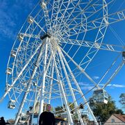 ���������� ������, ���� ������� �������, 47 ���, ������������ ��� ������, ����� � ���������, c�������� ���������