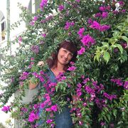 ���������� �����-���������, ���� ������� �������, 58 ���, ������������ ��� ����� � ���������, c�������� ���������