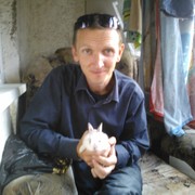 ���������� �����������, ���� ������� ����, 50 ���, ������������ 