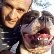 ���������� �������, ���� ������� ������, 50 ���, ������������ ��� ����� � ���������, c�������� ���������