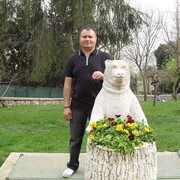 ���������� ������, ���� ������� �����, 46 ���, ������������ ��� c�������� ���������