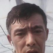  ,   , 33 ,  