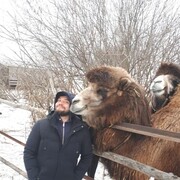 ���������� �������, ���� ������� ����������, 45 ���, ������������ ��� ������, ����� � ���������