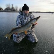 ���������� ������������, ���� ������� ������, 35 ���, ������������ ��� ����� � ���������, c�������� ���������