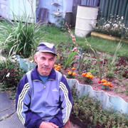  Weiz,  , 77
