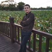  ,  Doni, 33