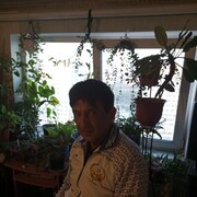 ���������� ������, ���� ������� �����, 56 ���, ������������ ��� ������, ����� � ���������, c�������� ���������