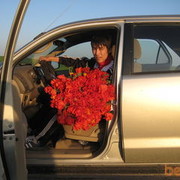 ���������� �������, ���� ������� ��������, 36 ���, ������������ ��� ����� � ���������, c�������� ���������, ���������