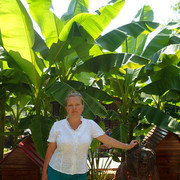 ���������� ����, ���� ������� �������, 51 ���, ������������ ��� ������, ����� � ���������, c�������� ���������