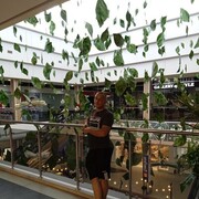  ,  Pavel, 38
