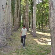 ���������� ������, ���� ������� ������, 41 ���, ������������ ��� ������, ����� � ���������