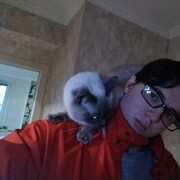 ���������� ������, ���� ������� �������, 26 ���, ������������ ��� ������, ����� � ���������, ���������