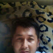 ���������� �����-���������, ���� ������� Alisher, 34 ����, ������������ ��� ������, ����� � ���������, c�������� ���������, ���������