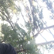 ���������� ����, ���� ������� �������, 37 ���, ������������ ��� ������, ����� � ���������, c�������� ���������