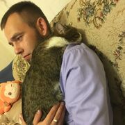 ���������� ���������, ���� ������� ���������, 31 ���, ������������ ��� ������, ����� � ���������, c�������� ���������