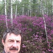 ���������� �������������, ���� ������� �����, 63 ����, ������������ 