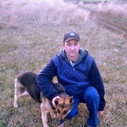 ���������� ������, ���� ������� ����, 38 ���, ������������ ��� ����� � ���������, c�������� ���������