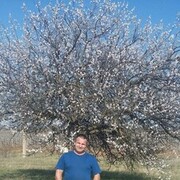  ,   , 48 ,   ,   