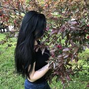 ���������� ������, ���� ������� �����, 28 ���, ������������ ��� c�������� ���������