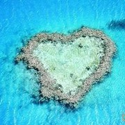 ���������� ����, ���� ������� ���������, 38 ���, ������������ ��� ������