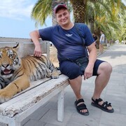 ���������� �����, ���� ������� ������, 48 ���, ������������ ��� ������, ����� � ���������