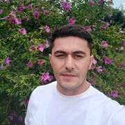  -,   , 33 ,   ,   , c , 