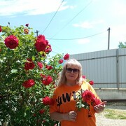  ,   , 49 ,  