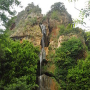 ���������� ����������, ���� ������� �������, 42 ����, ������������ 