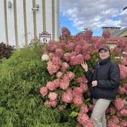 ���������� ������������, ���� ������� �����, 51 ���, ������������ ��� c�������� ���������